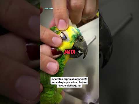 Bayangin Rasanya Biji Nyangkut Dimata