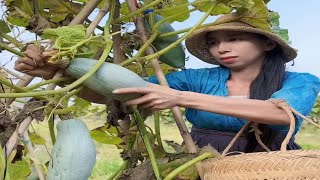 Enjoy beautiful nature with rural life 022 Live # MP Fresh