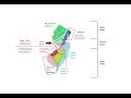 New Jersey Regional Characteristics and Culture