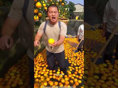 मालिकिन ने रामू को 😭😱 #mangorecipe  #shortvideo #indianshorts #orangejuice #orangerecipe