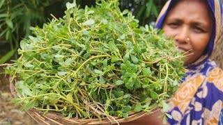 Village Food Nonta Shak Shutki Mach Recipe Farm Fresh নোনতা শাক চেলা শুঁটকি Cela Shutki Nune Shak