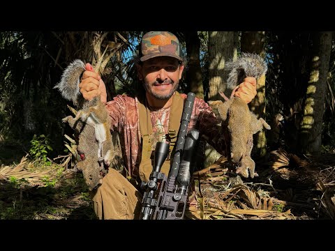 Ardillas Cazadas Y Cocinadas