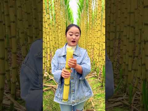 China’s Shocking Farming Innovations: Golden Sugarcane & Blood Orange #shorts #fruit #farming