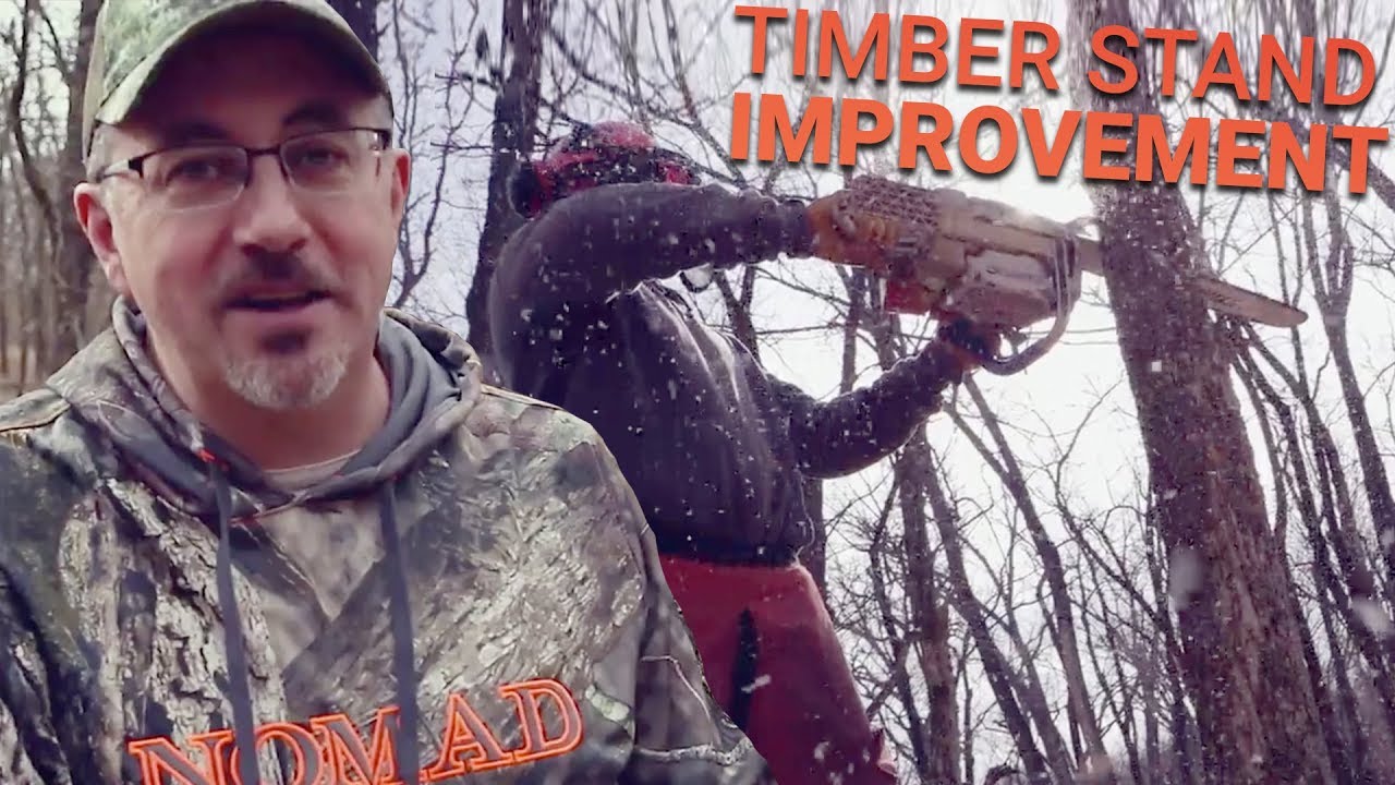Mark Drury’s Tips and Tricks for Timber Stand Improvement!