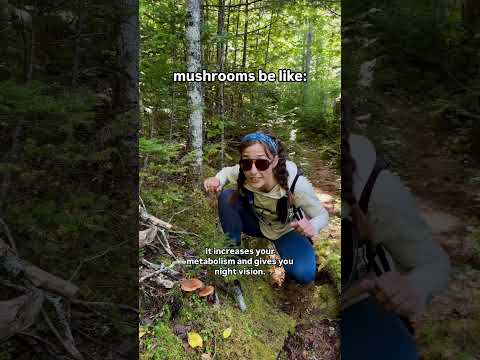 mushrooms are icky, change my mind…