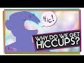 Understanding Hiccups