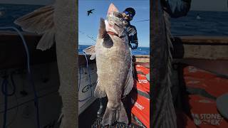 stay tuned for full video #fishing #lifeisbutadream