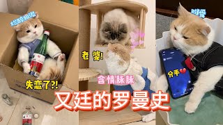 早知道你不胜酒力，何必还要喝下爱情的苦呢
