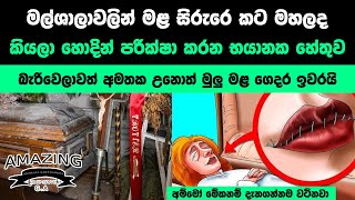 අම්මෝ මේවනම් ඔයා අනිවාරෙන්ම දැනගන්නම වටිනවා Abirahas Ga weshanaya