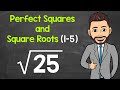Exploring Perfect Squares and Square Roots