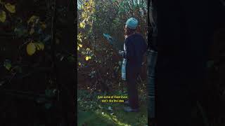 People call Martin Newell a "cult" in the street