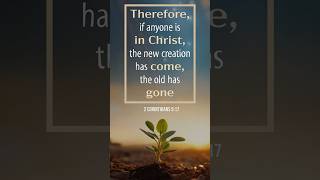 🌱 God Wants To Make You New! #hope #shorts