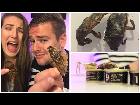 Dégustation d'insectes en live avec Jeremstar