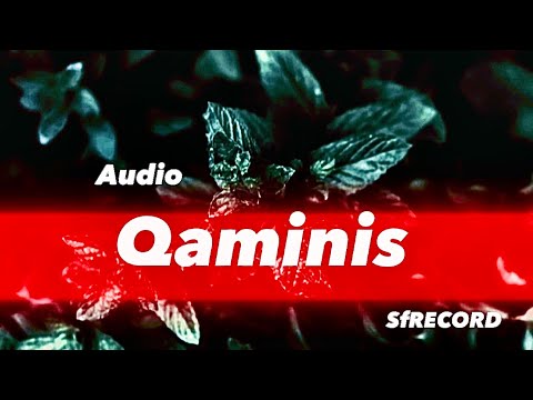 2025 Colomby - (Audio) Qaminis ููููู
ุจู - ูู
ููุณ