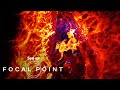Revealing the True Structure of Cells