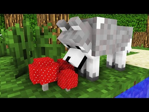 Wolf Life: The Hunger -- Minecraft Animation