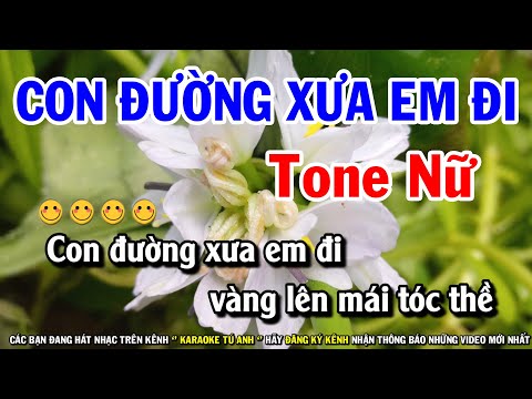 Karaoke Con Đường Xưa Em Đi – Tone Nữ – Dễ Hát Tú Anh