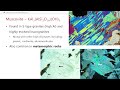 Minerals and Volcanic Rocks Concepts