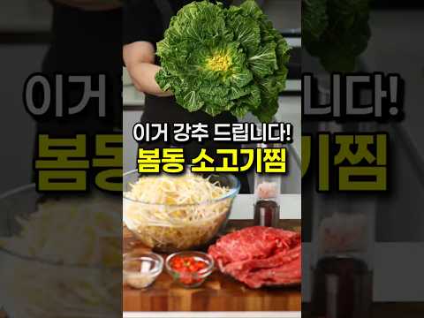 역대급이네요, 봄동 소고기찜 레시피! #shorts