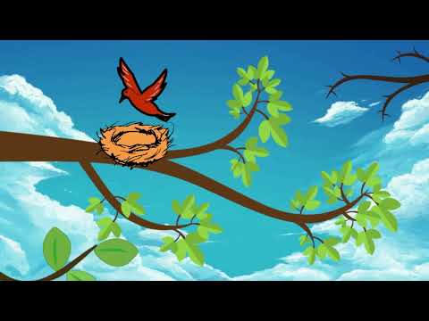 "Bird's Nest" A Short Animation Cover Image