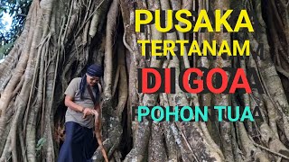 PUSAKA KUNO PENUNGGU POHON TUA MILIK SOSOK KAKEK TAPA