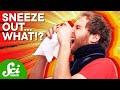 The Science of Sneezing: Unusual Effects and Stories