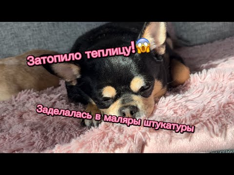 СНОВА НА ДАЧЕ. ПЕРЕКРАШИВАЮ СТАРУЮ ДВЕРЬ. В ТЕПЛИЦЕ ЗАТОПИЛО ПРОХОДЫ. В КОЛОДЦЕ ПОЯВИЛАСЬ ВОДА.
