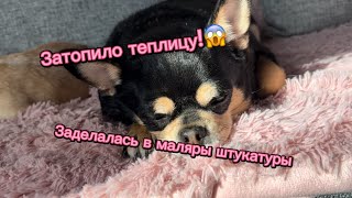 СНОВА НА ДАЧЕ. ПЕРЕКРАШИВАЮ СТАРУЮ ДВЕРЬ. В ТЕПЛИЦЕ ЗАТОПИЛО ПРОХОДЫ. В КОЛОДЦЕ ПОЯВИЛАСЬ ВОДА.