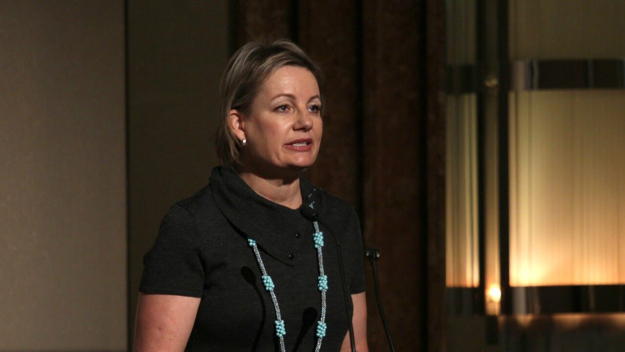 Cost of living crisis ‘part of the pain’ coming from Albanese government: Sussan Ley