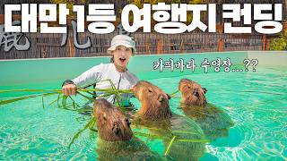 나만 알고 싶은 대만 1등 여행지 컨딩에서 보내는 역대급 1박 2일 여행🇹🇼