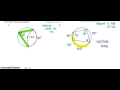Inscribed Angles and Quadrilaterals
