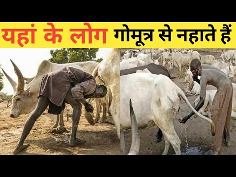 यहां के लोग गोमूत्र को पीते हैं😱 | Mundari Tribe South Sudan | Amazing fact by informative vipin