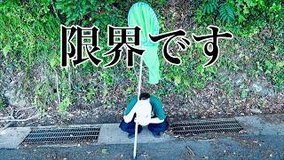 対馬での採集２日目は更に過酷でした＃昆虫採集