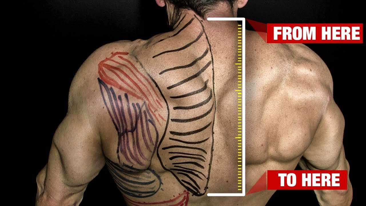 How to Get Bigger Traps (GUARANTEED)