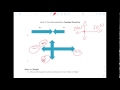 Forces and Motion Concepts