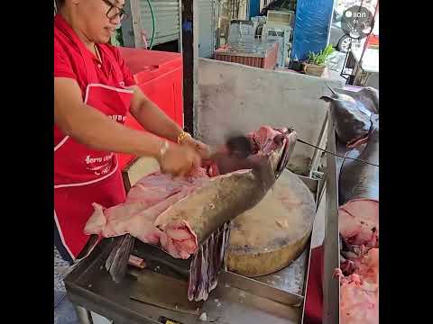ปลาคัง 42 กิโล ร้านเฟิร์สอยุธยาปลาสด