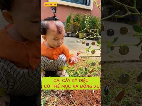 Cái cây kỳ diệu có thể mọc ra đồng xu #shorts
