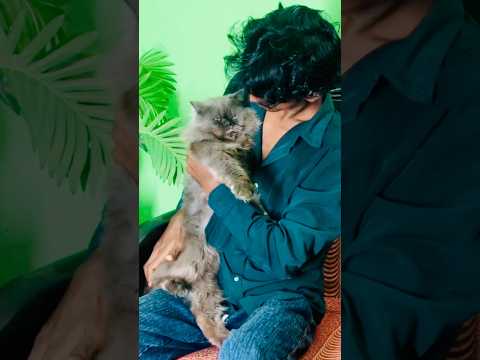 আলহামদুলিল্লাহ সিম্বা এখন সুস্থ হয়েছে 🥰💚 #minivlog #vlog #shortvideo