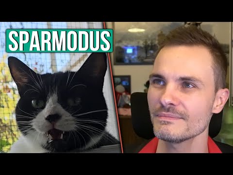 Katze ist im Sparmodus