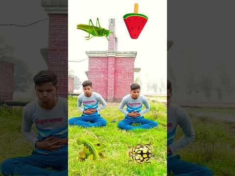 Lollipop, Burger, Chili 🌶️ shikhar fruits vs insects eating  for two duplicate brothers vfx fanny 😀