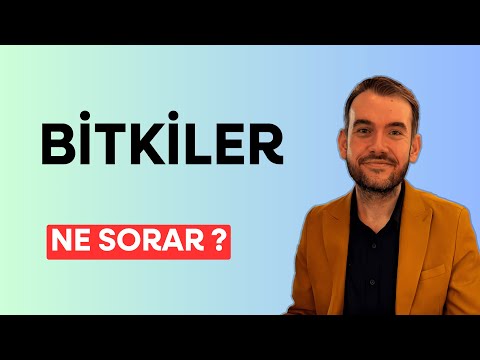 2025 BİTKİ BİYOLOJİSİ SORU TAHMİN ANALİZİ