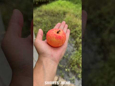 Fake Apple Prank In Dadi 🍎😂~ New Viral Gadgets, Smart Appliances, Kitchen Utensils/ Home Inventions