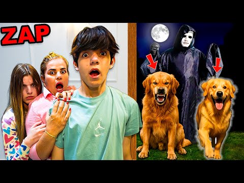 O ZAP ROUBOU NOSSOS CACHORRINHOS! 😱😭 QUEM É ELE?!