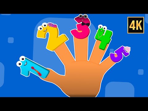 Finger Family Nursery Rhyme & More Learning Video for Kids