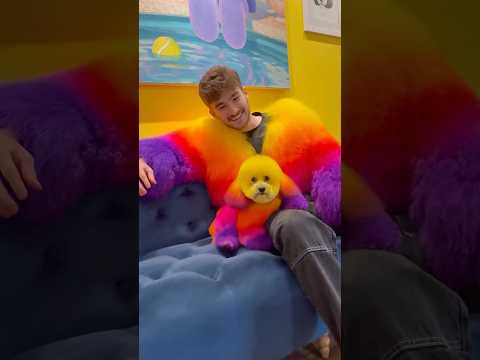 The jacket matches the dog?!