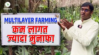 क्या होती है मल्टीलेयर फार्मिंग?, Benefits of Multilayer Farming | Akash Chourasiya