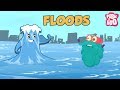Understanding Floods