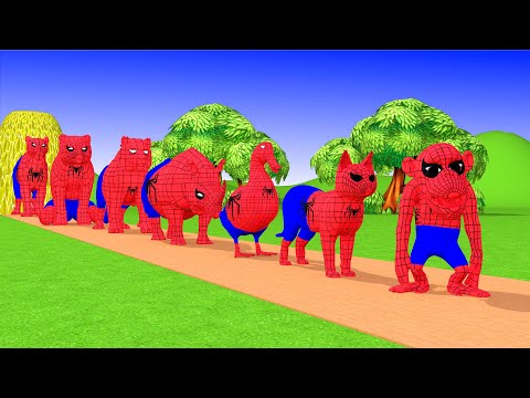 Paint & Animals Spider Duck,Cow,Gorilla,Lion,chicken,Elephant Fountain Crossing Turtle Cartoon Games
