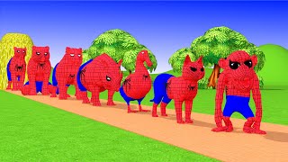 Paint & Animals Spider Duck,Cow,Gorilla,Lion,chicken,Elephant Fountain Crossing Turtle Cartoon Games