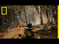 Understanding Fire Management and Its Impact